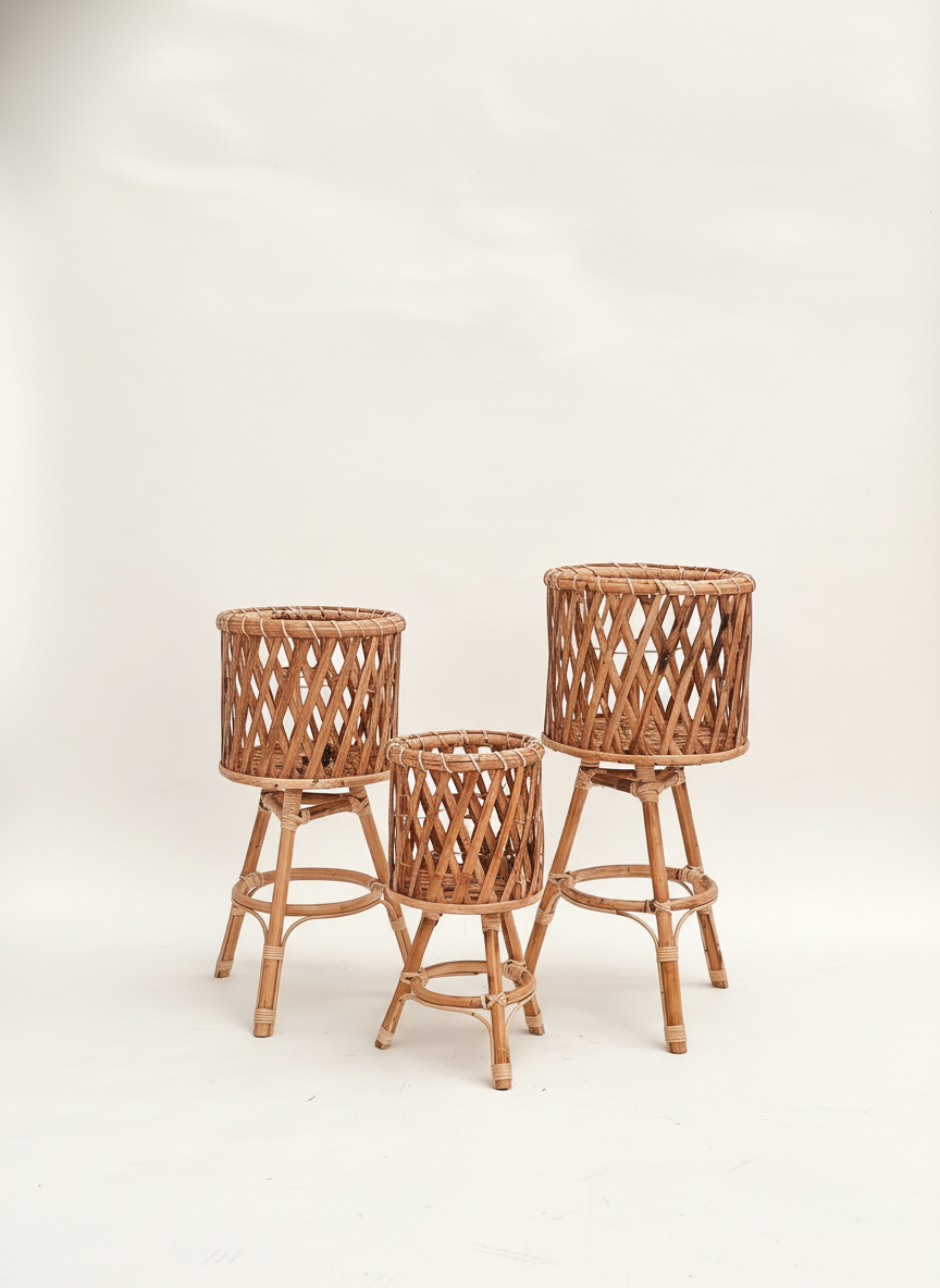 Arch Cane Mirror & Rattan Planter Set