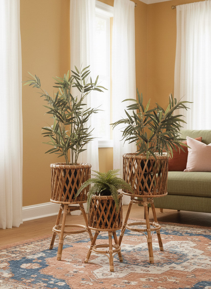 Arch Cane Mirror & Rattan Planter Set